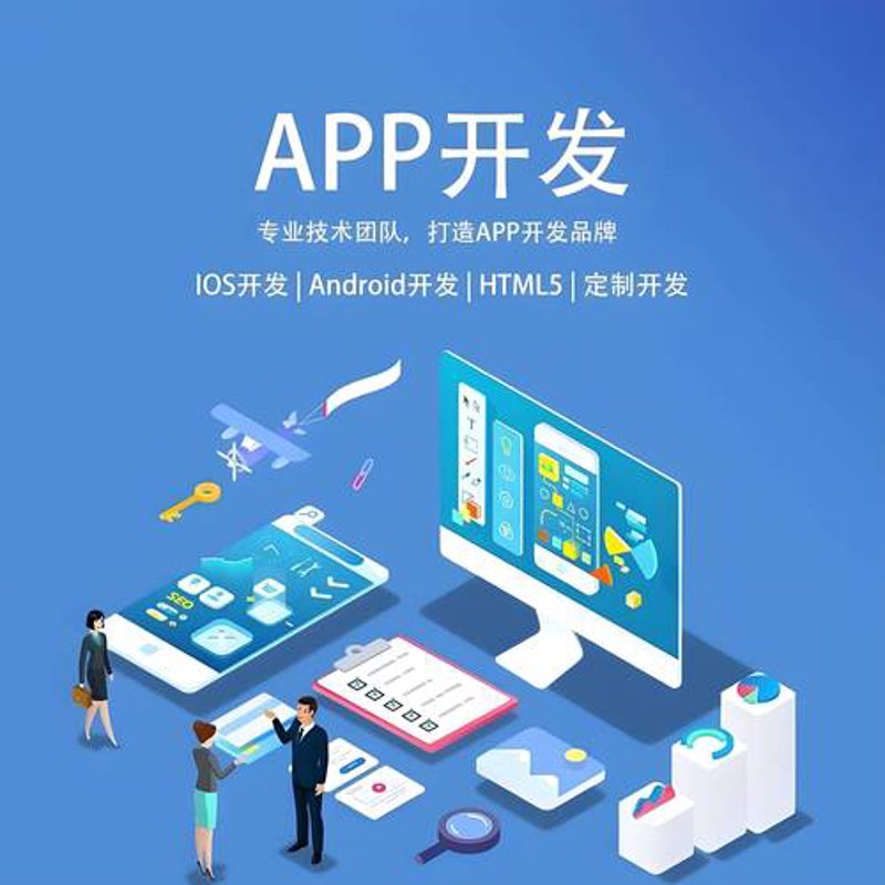 应用软件开发